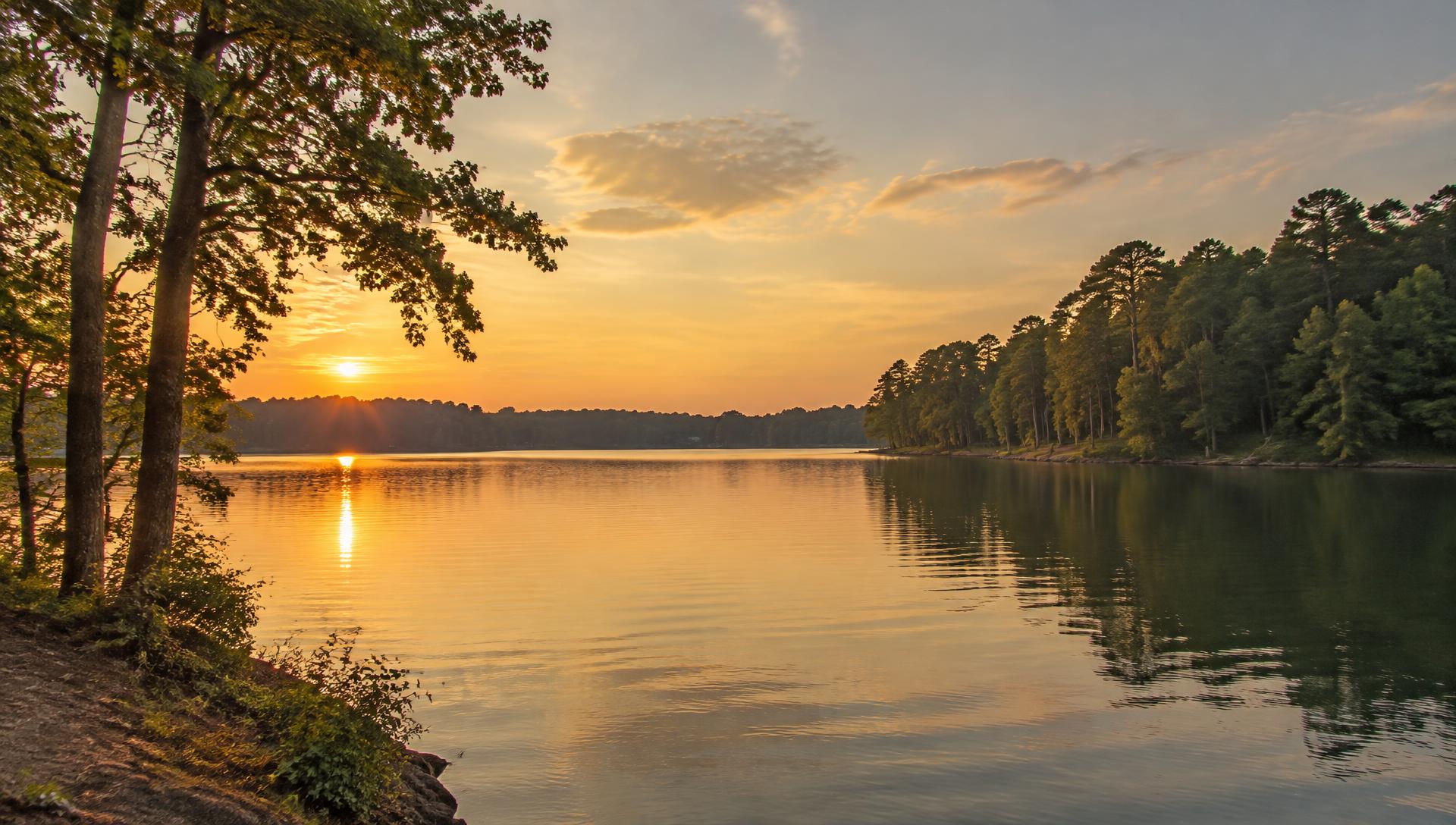 Lake Wylie-style shoreline at golden hour with tall pines (representative image)